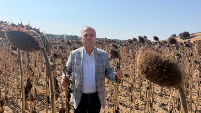 TÜRK ÇİFTÇİSİ İTHALAT LOBİSİNE YEM EDİLDİ