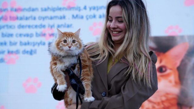 3. Patifest Çorlu, Nazım Hikmet Ran Parkı`nda Gerçekleştirildi