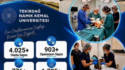 TEKİRDAĞ NAMIK KEMAL ÜNİVERSİTESİ