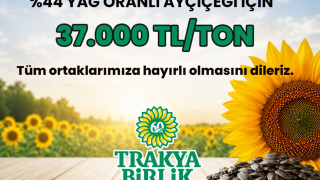 Trakya Birlik Ayçiçeği Ön Alım Fiyatını Açıkladı: Tonu 37 Bin TL