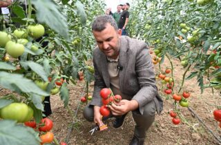 Topraktan İhtiyaç Sahiplerinin Sofrasına Uzanan Belediye Eli