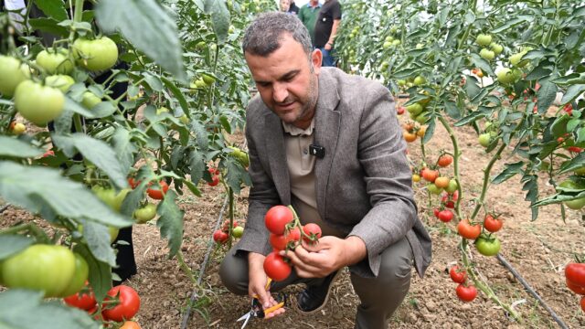 Topraktan İhtiyaç Sahiplerinin Sofrasına Uzanan Belediye Eli